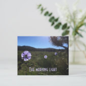 風景の美しいプレーリーの青い亜麻の花が恋しい ポストカード (スタンド正面)