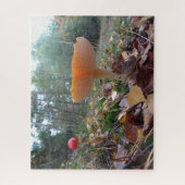 風景パズル: 2つのキュートフライアマニタス ジグソーパズル (縦)