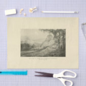 風景仮木エフエメラデクページ 薄葉紙 (クラフト)