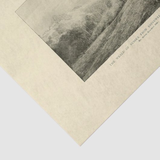 風景仮木エフエメラデクページ 薄葉紙 (詳細)