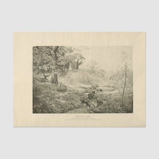 風景春ツリーズエフェメラデクページ 薄葉紙 (正面)