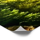 風景現実的で自然 ポスター (角)