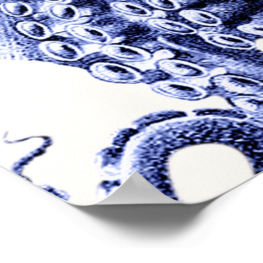 風景青タコ ポスター (角)