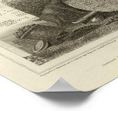 風景 ポスター (角)