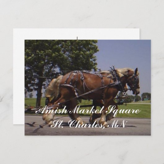 風景 ポストカード (正面/裏面)