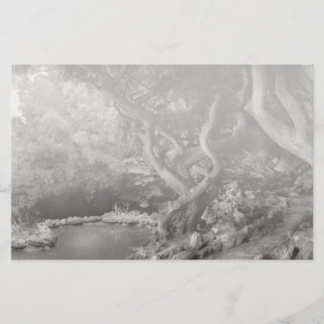 風景 – 禁城の森 (正面)