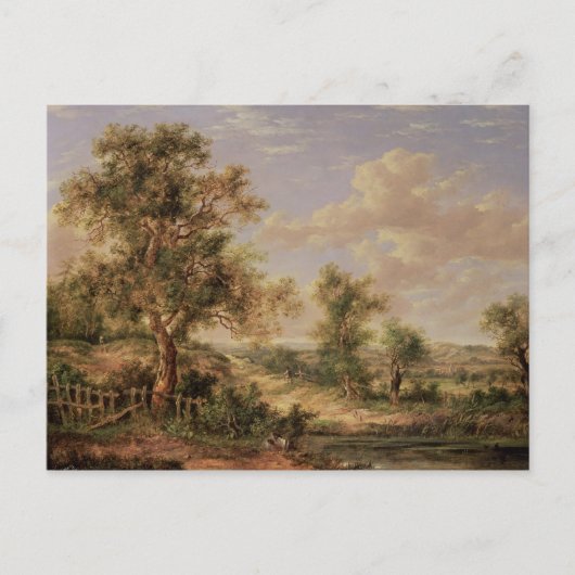 風景、19世紀 ポストカード (正面)
