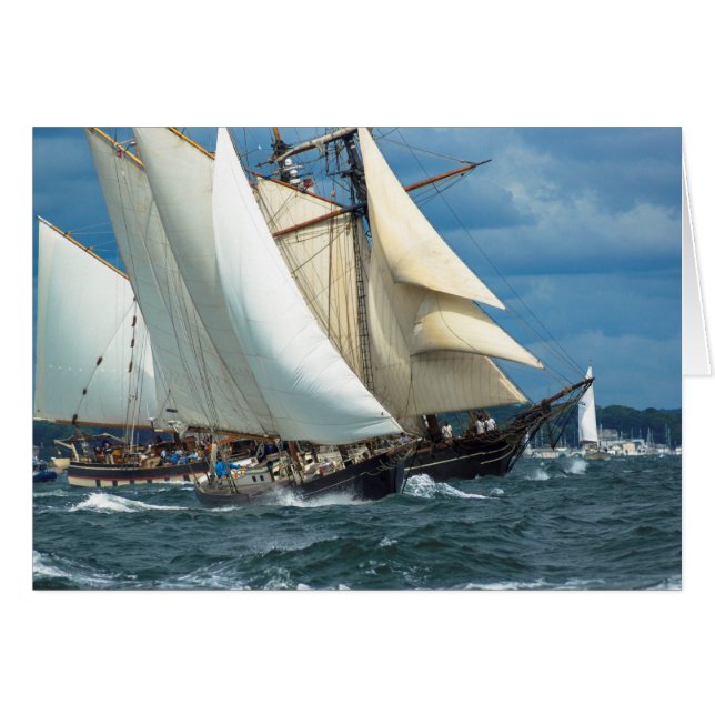 風最高の (正面横)