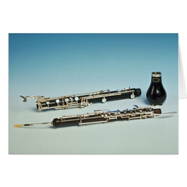 風楽器 (正面横)