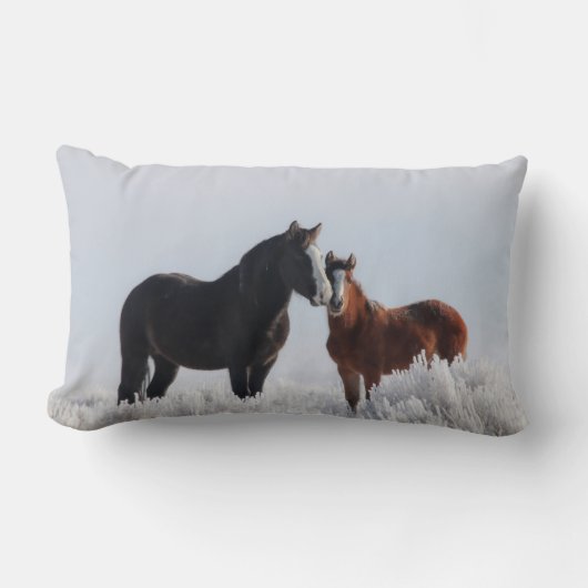 風歩き/スカイダンサー枕 ランバークッション (正面)