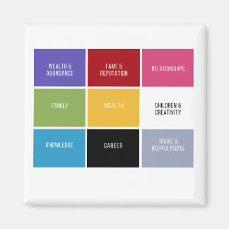 風水バグアマグネット マグネット