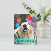 風船と一緒に誕生日のゴールデンレトリバーの犬 ポストカード (スタンド正面)