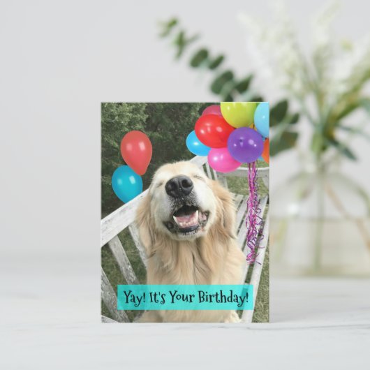風船と一緒に誕生日のゴールデンレトリバーの犬 ポストカード (スタンド正面)