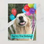 風船と一緒に誕生日のゴールデンレトリバーの犬 ポストカード (正面)