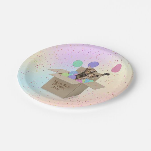 風船の入ったダンボール箱に入ったベンガル猫 ペーパープレート (アングル)