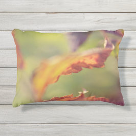 風葉中の アウトドアクッション