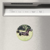 風走のように マグネット (インサイチュ (食洗機))