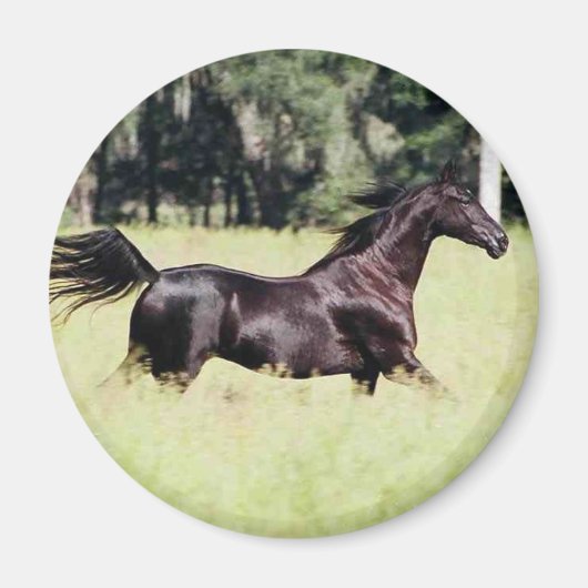 風走のように マグネット (正面)