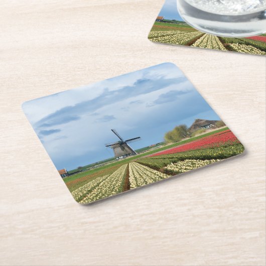 風車およびチューリップの景色のコースター スクエアペーパーコースター (アングル)