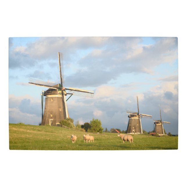 風車およびヒツジとの景色 メタルプリント (正面)