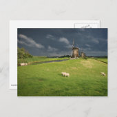 風車が暗雲の下にある羊 ポストカード (正面/裏面)