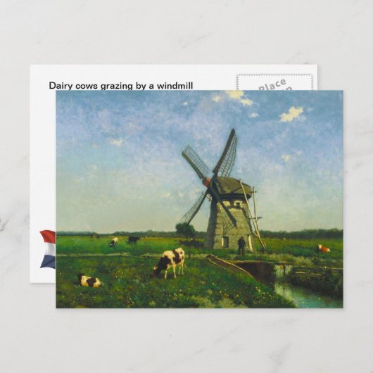 風車で放牧する乳牛 ポストカード (正面/裏面)