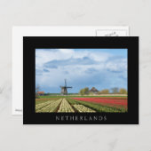 風車とチューリップの風景ブラックポストカード ポストカード (正面/裏面)