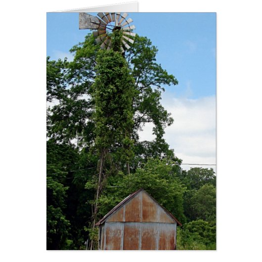 風車と小屋 (正面)