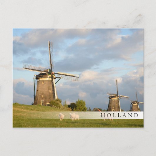 風車と羊の風景 ポストカード (正面)