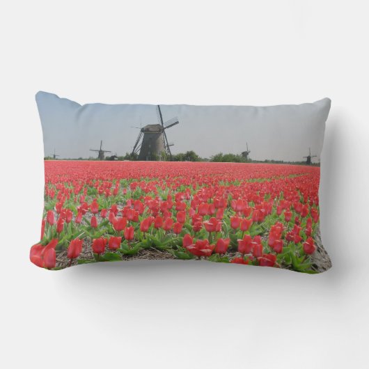 風車の赤いチューリップ分野 ランバークッション (正面)