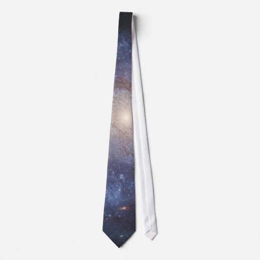 風車の銀河系よりきたない101 NGC 5457 ネクタイ (正面)