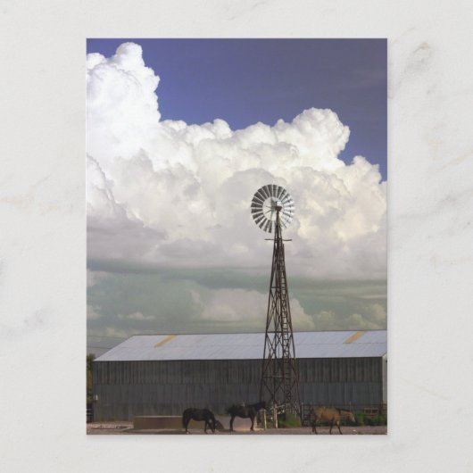 風車はがき ポストカード (正面)
