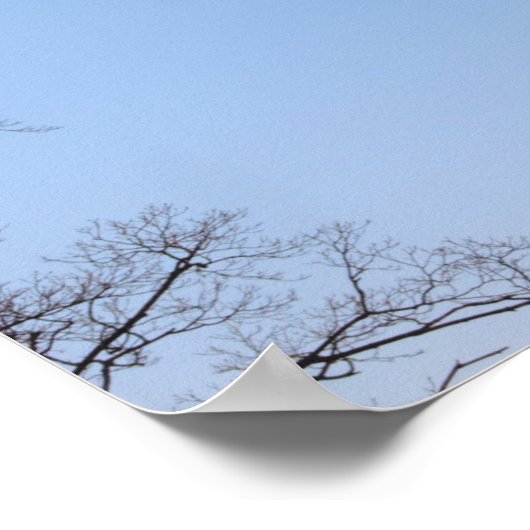 風車写真 ポスター (角)