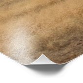 風車及び風車 フォトプリント            (角)