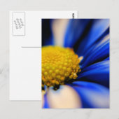 風車 ポストカード (正面/裏面)