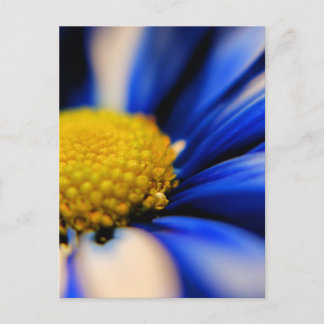 風車 ポストカード