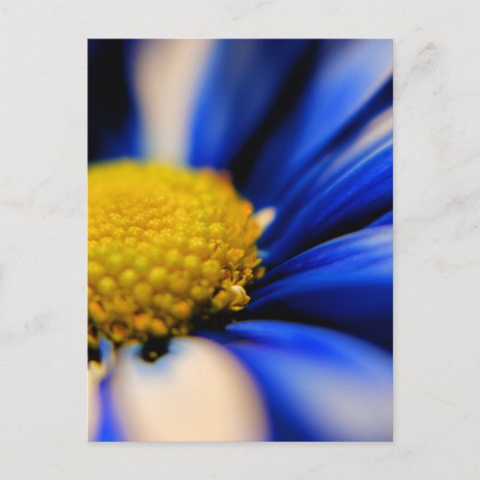 風車 ポストカード (正面)