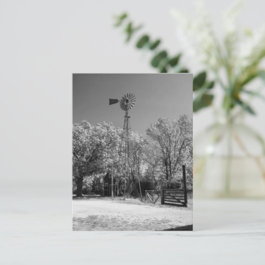 風車 ポストカード (スタンド正面)