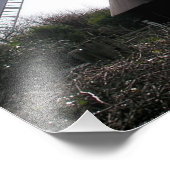 風車： Jack & Jill Sussex UKプリント/写真 フォトプリント (角)