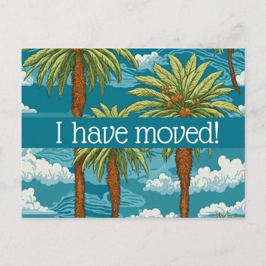 風通しの好い椰子の木々のお知らせが届いた ポストカード (正面)