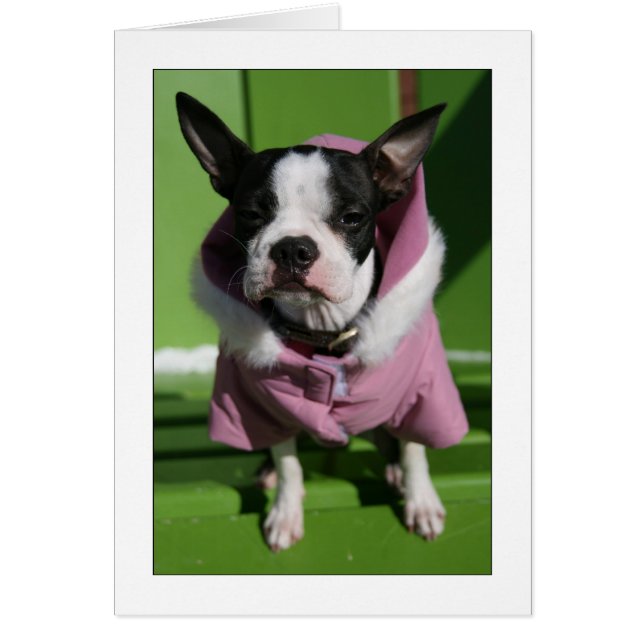 風邪のMiley (正面)