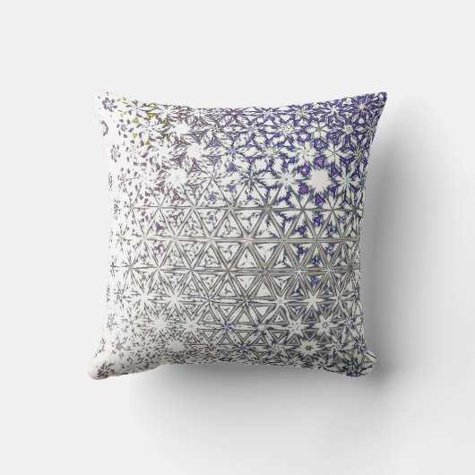 風防凍ってい窓 クッション (裏面)