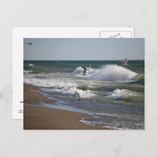 風 ポストカード (正面/裏面)