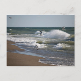 風 ポストカード