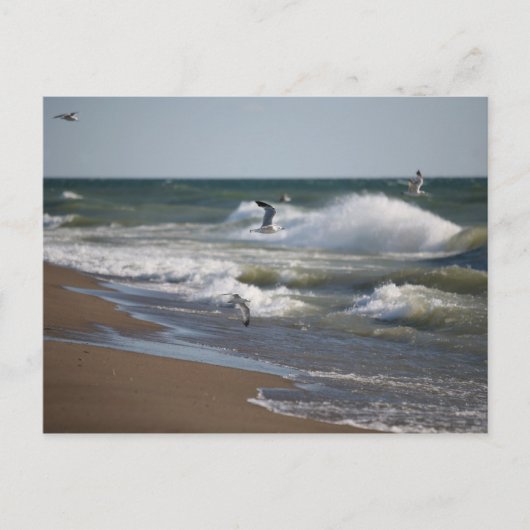 風 ポストカード (正面)