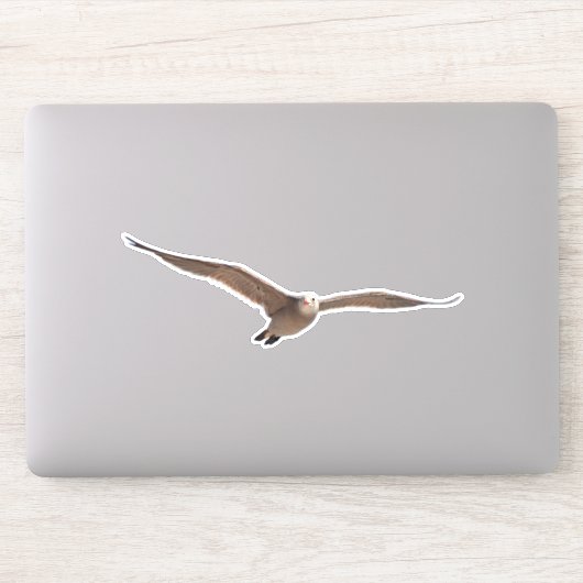 飛かわいらし行中の海鳥カモメのカットアウトシール シール (コンピューター)
