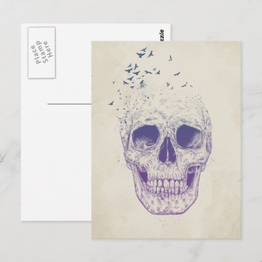 飛ばせ ポストカード (正面/裏面)