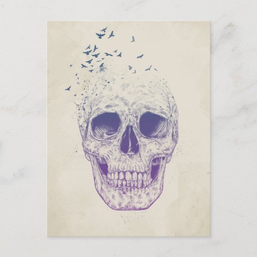 飛ばせ ポストカード (正面)