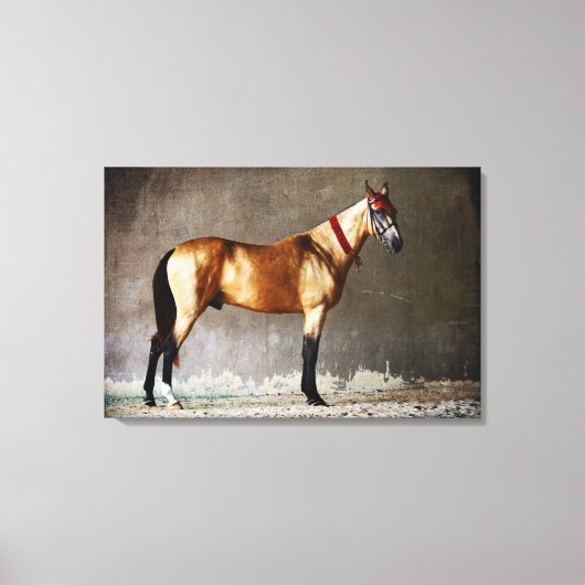 飛びカラフル馬 キャンバスプリント (正面)