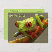 飛び出す準備ができた赤い目のカエル ポストカード (正面/裏面)